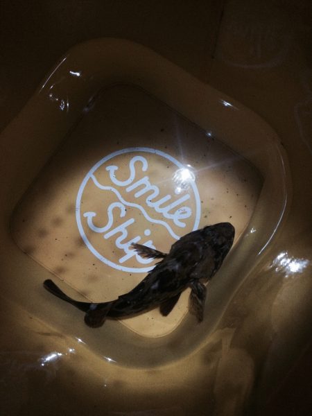 突撃！隣の人工島