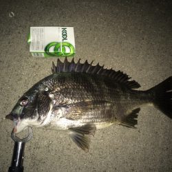 台風前のチニング