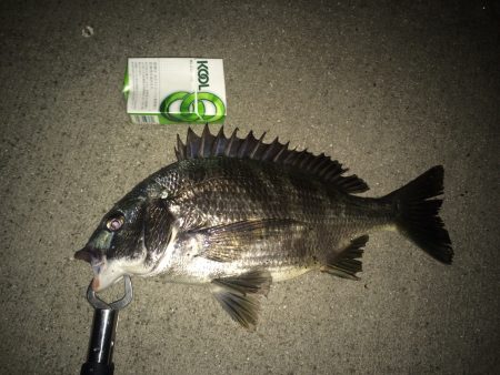 台風前のチニング