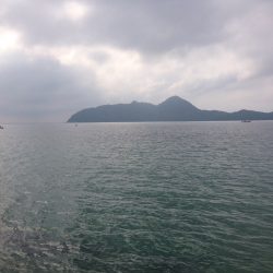 ケンサキイカ エギング