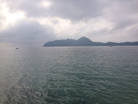 ケンサキイカ エギング