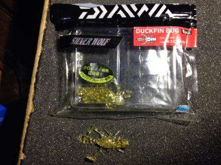 タイフーン後の調査です。