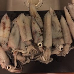 ライトエギング