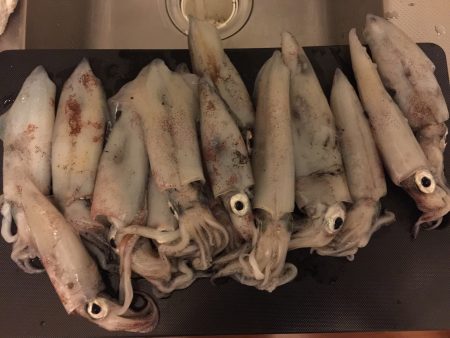 ライトエギング