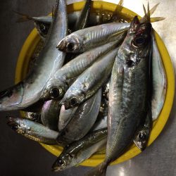 少しだけ楽しめました