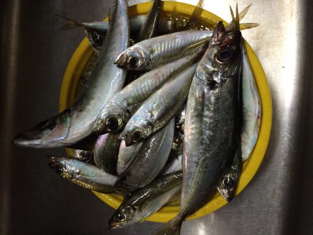 少しだけ楽しめました