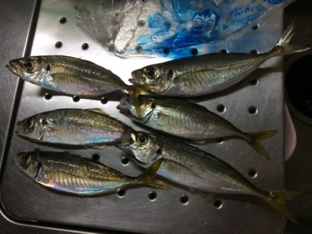 サイズが・・・