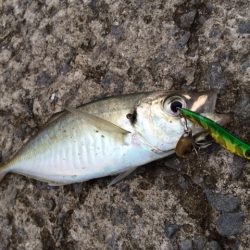 メタルマルゲーム