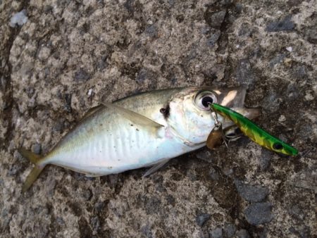 メタルマルゲーム