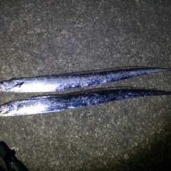 激濁りタチウオ釣行