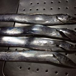 そこそこサイズかな？