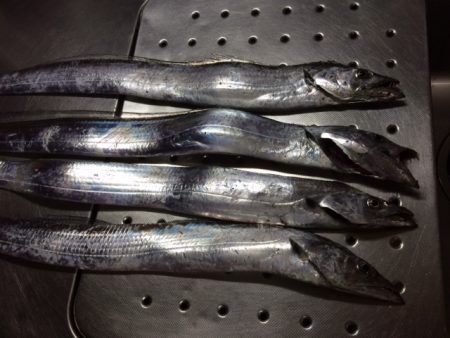 そこそこサイズかな？