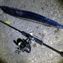 サマータッチ―