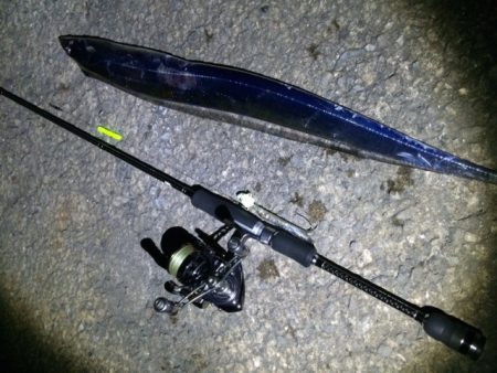 サマータッチ―