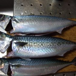 台風接近前に！