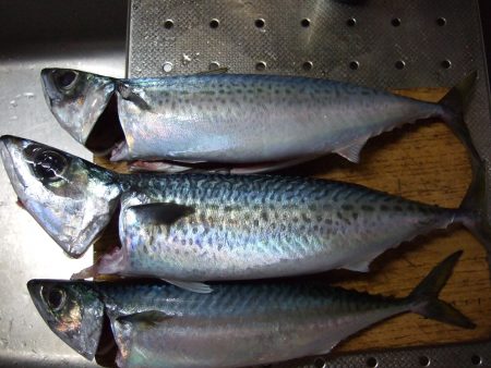 台風接近前に！