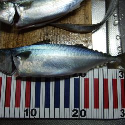 もう、終わり？