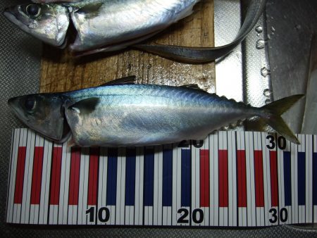 もう、終わり？