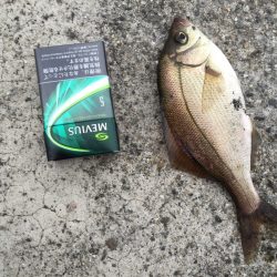 雨あがりで、、