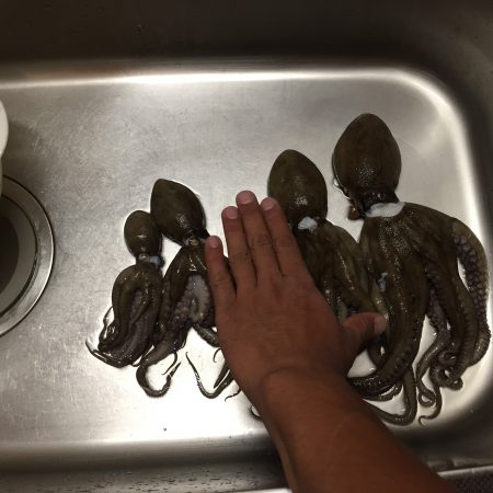 今日はよく釣れました(^_^)