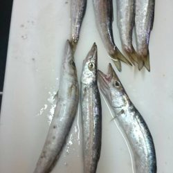 短時間カマッシング