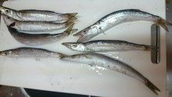 短時間カマッシング