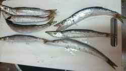 短時間カマッシング