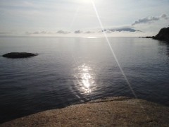 地磯でロックフィッシュ！