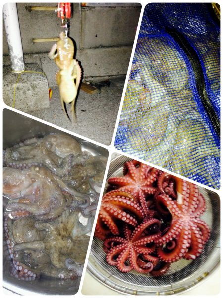 たこ！たこ！たこ祭り！たこゲーム最高！！