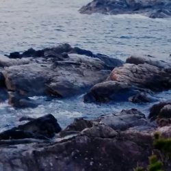 何とか釣れました！