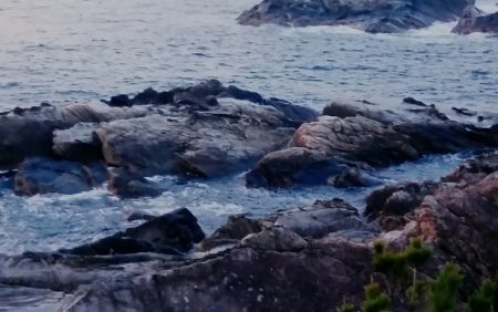 何とか釣れました！