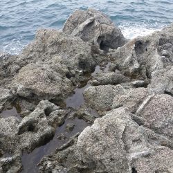 シイラゲット！