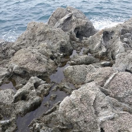 シイラゲット！