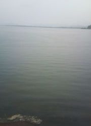 メバルGET、伊根ではイカ好調