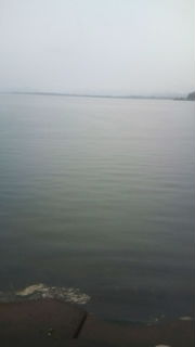 メバルGET、伊根ではイカ好調