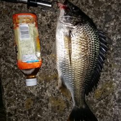 まあまあサイズ