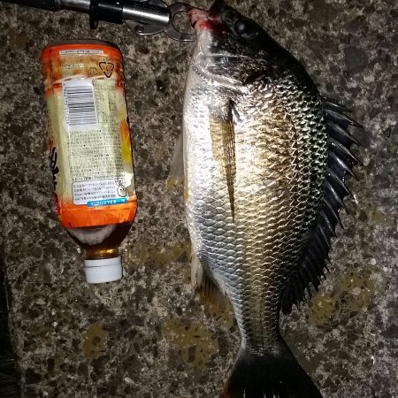 まあまあサイズ