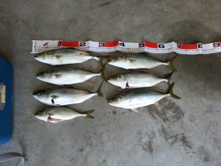 ツバス連発！！