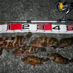 半夜のエビ撒き釣り