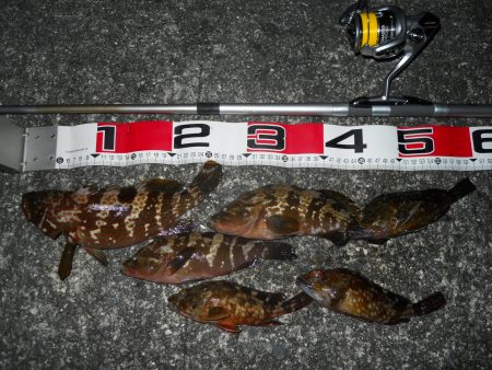 半夜のエビ撒き釣り