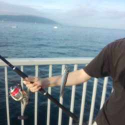 ウルトラライトショアジギング&サビキで豆アジ狙い