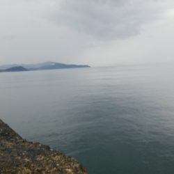 ロックフィッシュ