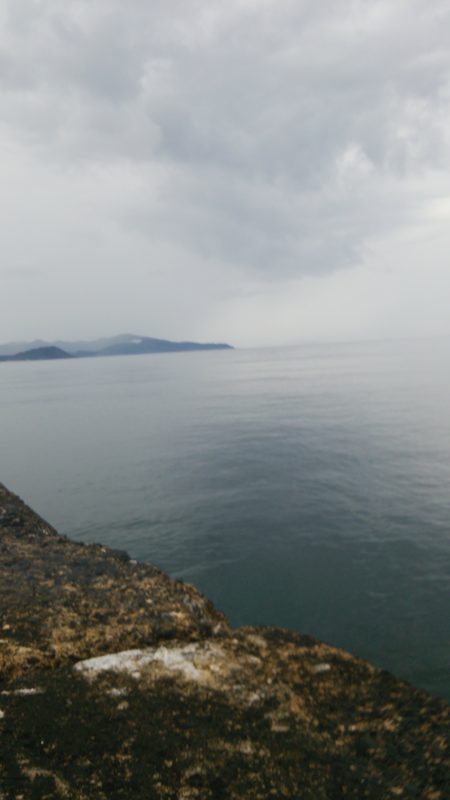 ロックフィッシュ