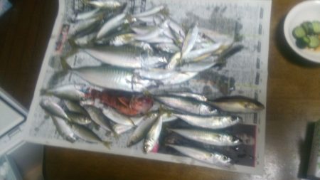 下津ピアーランド