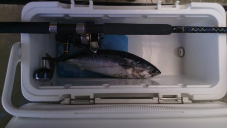 北港釣り公園ショアジギ