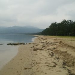 メバリングと投げ釣り