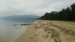 メバリングと投げ釣り