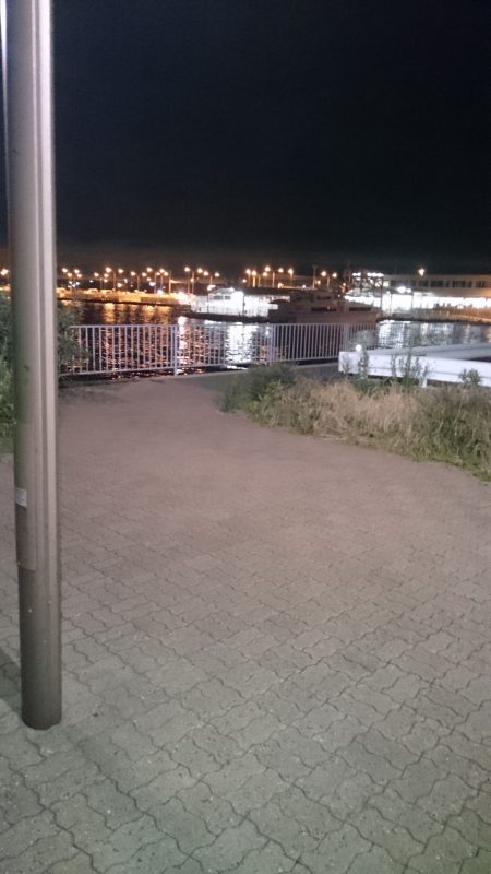 アジがいないのでメバル狙い