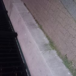 同じ青物ですが