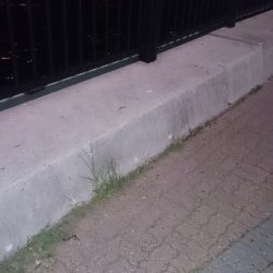 同じ青物ですが